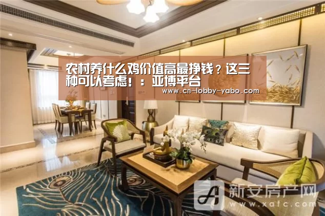 农村养什么鸡价值高最挣钱？这三种可以考虑！：亚博平台