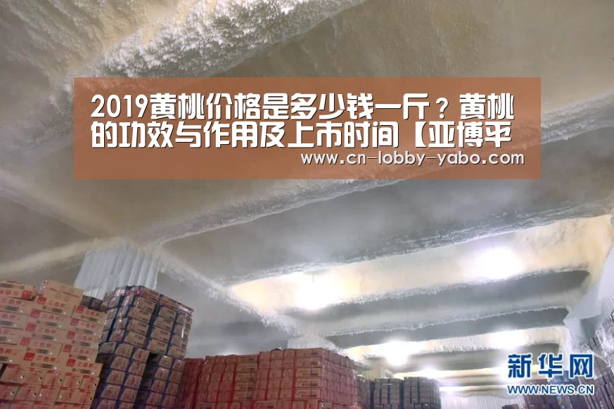 2019黄桃价格是多少钱一斤?黄桃的功效与作用及上市时间【亚博平台】(图2) 亚博官网